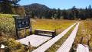 広大な湿原と百名山