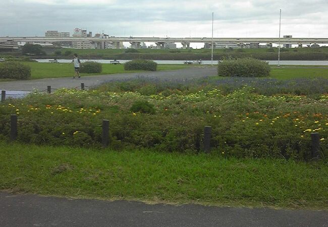 荒川千住新橋緑地 (荒川河川敷) クチコミ・アクセス・周辺情報｜西新井