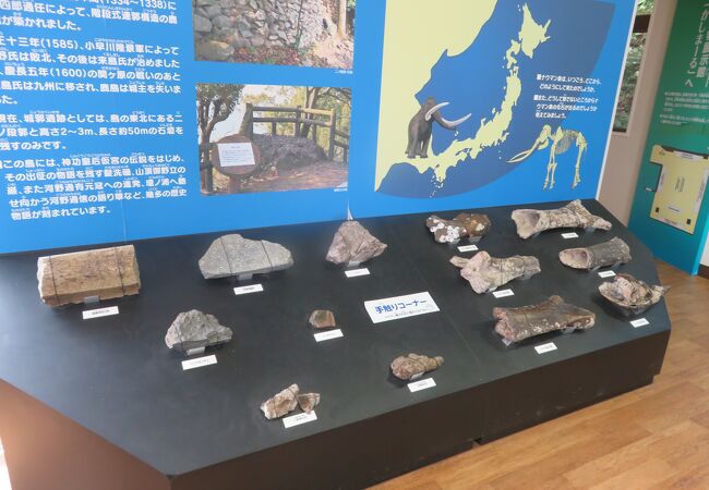 北条鹿島博物展示館 クチコミ アクセス 営業時間 松山 フォートラベル