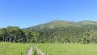 山ノ鼻から至仏山への登山道はしんどかったです。