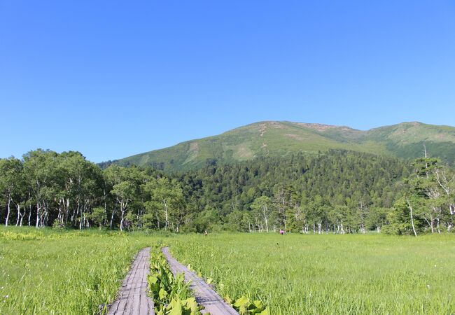 山ノ鼻から至仏山への登山道はしんどかったです。