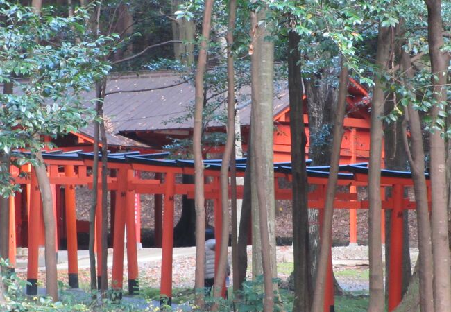 池のほとりに