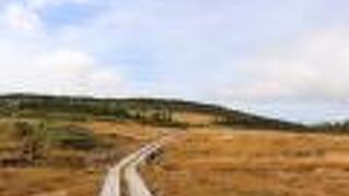 草紅葉がきれいでした