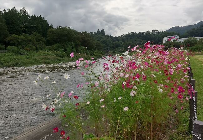 諏訪峡の遊歩道を散策