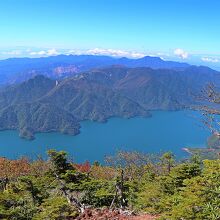 碧のコントラストが美しい