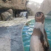 期待以上の水族館