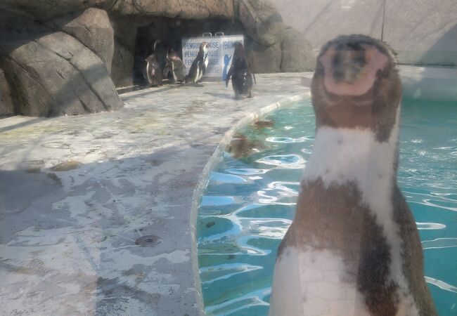 期待以上の水族館