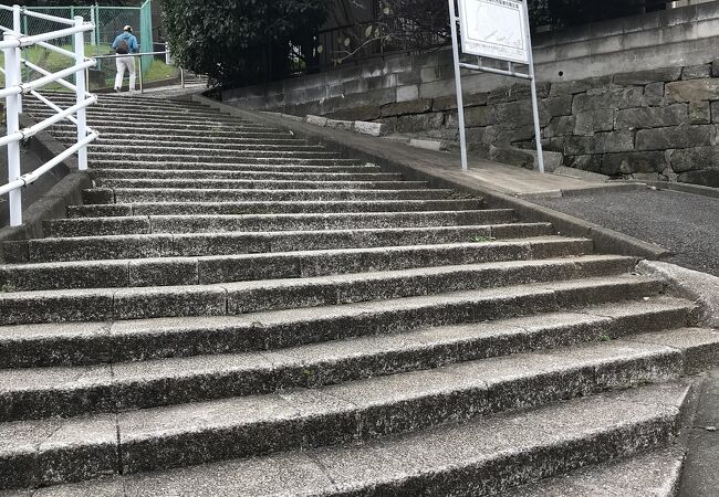 石川町駅から少し迷いながら行きました