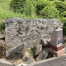 文学のこみちです。