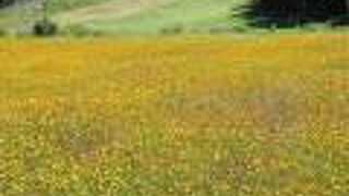 新しくなった八ヶ岳富士見高原リゾートに行きました