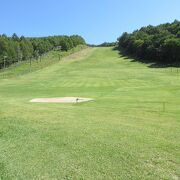 夏場は花畑と子供の遊び場になっています