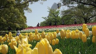万博公園の自然文化園