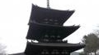 小さいながらも均整のとれた姿