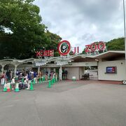 神戸市立王子動物園に行ってきました。