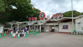 神戸市立王子動物園に行ってきました。