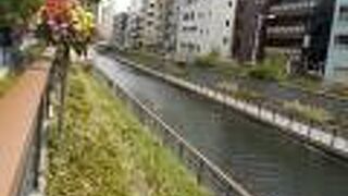 墨田区では一番狭い川らしい・・