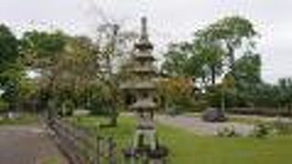 庭にある、枝垂れ桜が印象に残りました