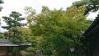 まだ早かったですが、一部紅葉が始まりかけていました