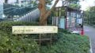 お洒落で見た目にも楽しめました