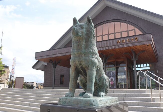 忠犬ハチ公像 大館駅前 クチコミ アクセス 営業時間 大館 フォートラベル 忠犬ハチ公像 大館駅前 クチコミ アクセス 営業時間 大館 フォートラベル