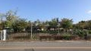 スポーツや文化を楽しむ公園