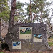 数百本の松並木を軸にした公園の様な場所でした