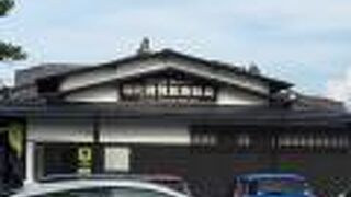 松江城お堀から眺める