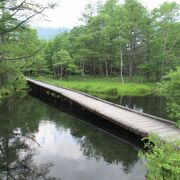 蓼科山の湧水