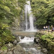 箕面大滝♪