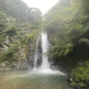 明治の森 箕面国定公園♪