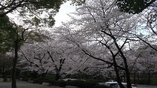 山上に石清水八幡宮