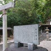 森の中に佇んでいる感じの神社