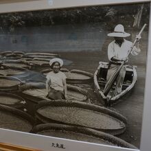 皇族が立ち寄られた際のお写真集