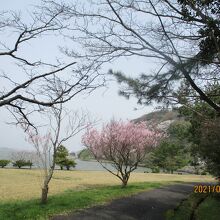 湖山池青島公園