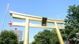 青空に金の鳥居が映えていました