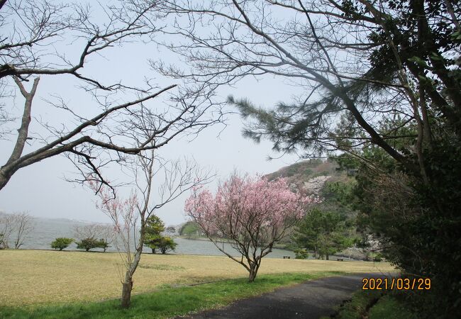 橋で結ばれた島