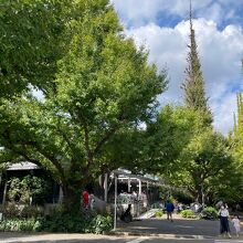 外苑いちょう並木沿いにあるシェイクシャック