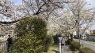 桜が咲くころになると行きたくなる