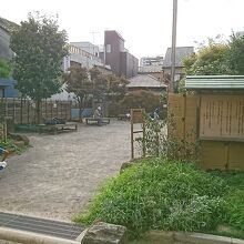 街道松の広場