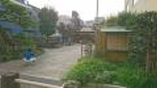 浜松より贈られた樹齢約８０年の黒松