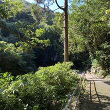 滝への遊歩道