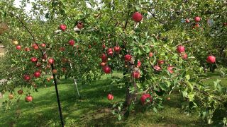 青森空港近くの道の駅