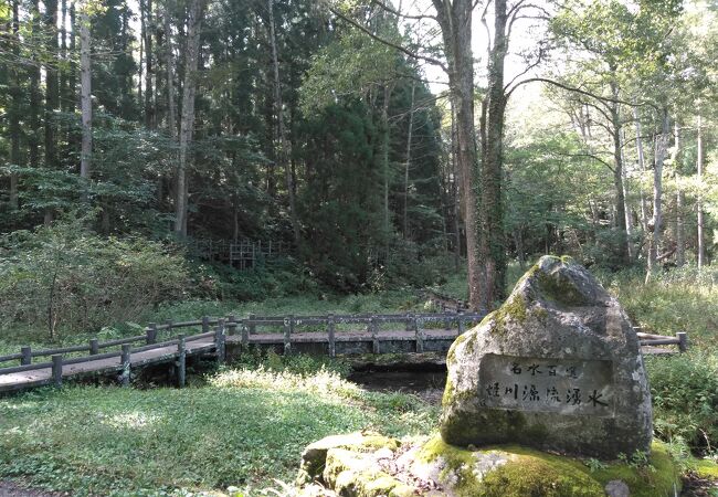 草の中から水が湧き出ています。