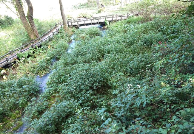 姫川源流と親海湿原があります。