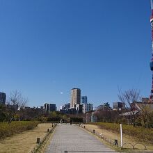 圓内からの東京タワー