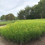 綺麗な公園、イベントも多数。