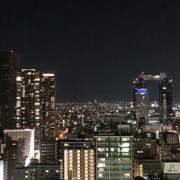 21階北側の眺望。伊丹空港へ向かう飛行機が見えます。