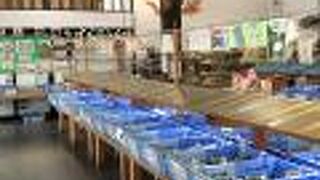 れんこんが有名です。