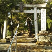 露垂根神社