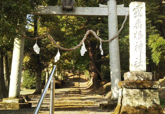 露垂根神社